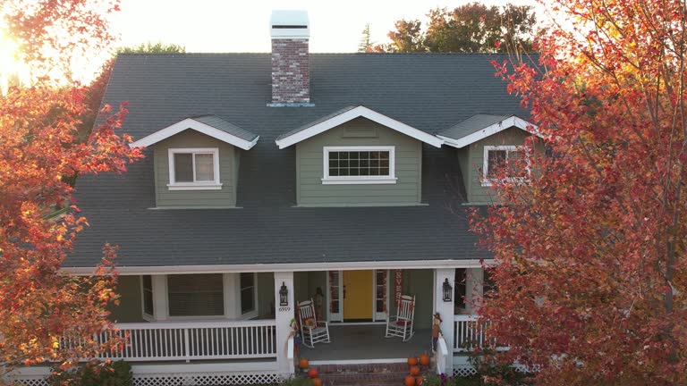 Best Chimney Flashing Repair  in De Soto, MO